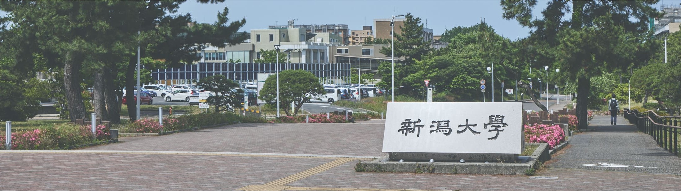 日本分析化学会第76年会（新潟）